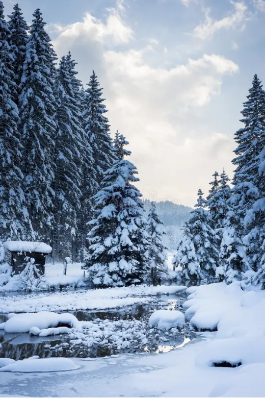 FOTOS SITE FAVOO (3)