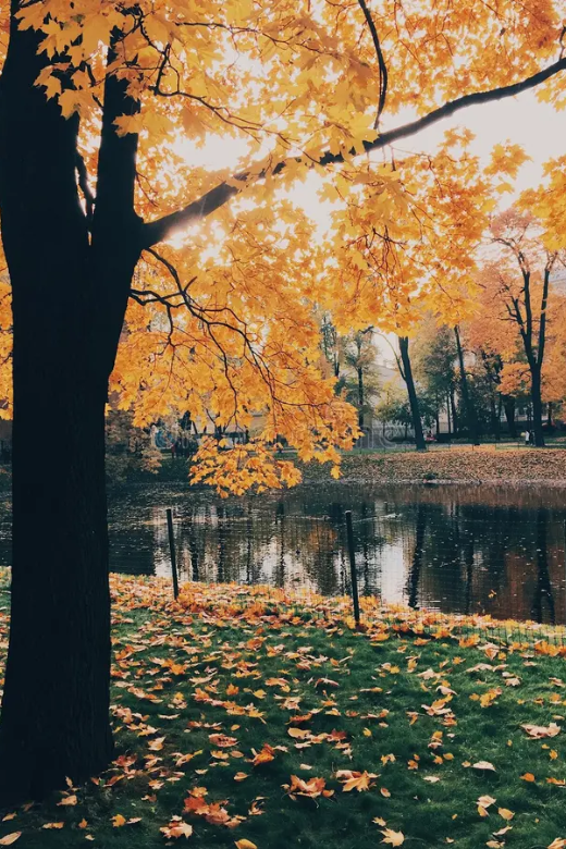 FOTOS SITE FAVOO (4)